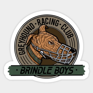 Brindle Boys Greyhound Racing Club Sticker